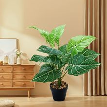 RdGֲ_ֲԼٻ~b쾰҃ȷ滨߷