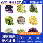 立兴脱水冻干山药青蔬菜干冻干紫甘蓝大白菜紫薯西兰花冻干蔬菜