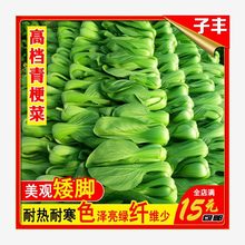 ๣S߲˷NϺļ͟Сײ˲˷Nļ