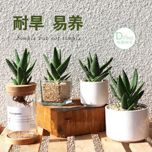 �ļ��J�C�����҃ȿ͏d�������ֲ�ﻨ���k�������B�Gֲ��������