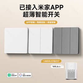TEP国际电工智能开关已接入米家APP控制面板超薄小爱同学全屋语音