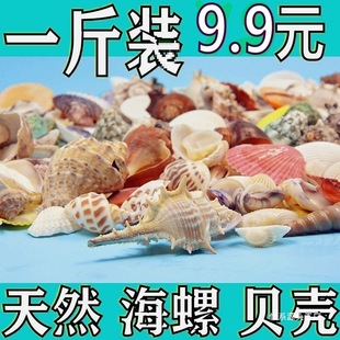 ��Ȼؐ�������ֹ��׃��@�h��������~���쾰�b������l