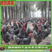 ������ֱ�u���J���u�����·��B��ɽ�u���׻���B���M�ṩ�Bֳ���g