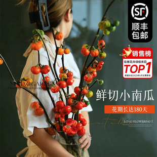 С�Ϲ��r���^�p�廨��ϻ���ֱ�lˮ����֦�����҃Ⱥ��B�Gֲ���b�