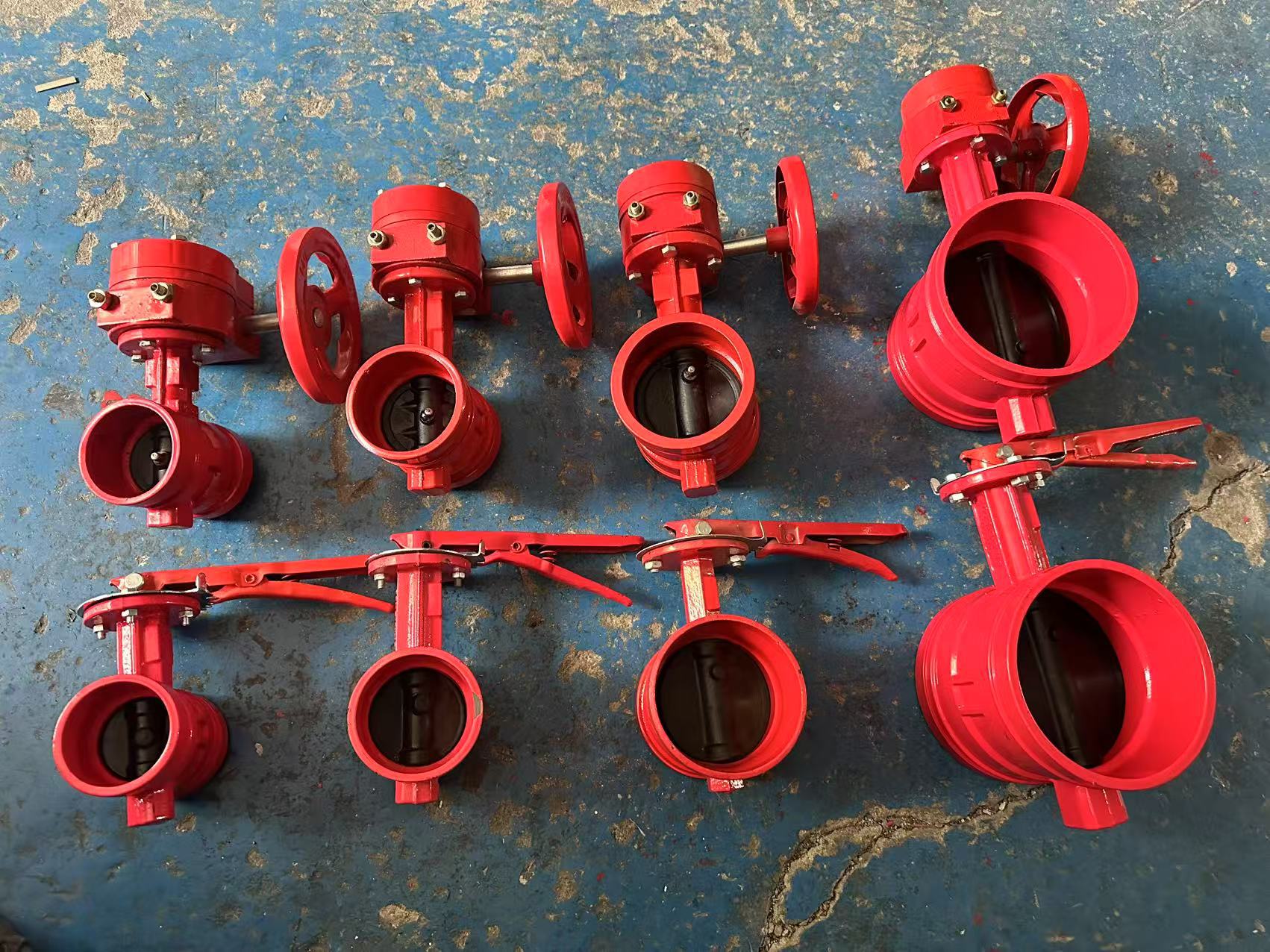 504ef51976b1824135f6abc68f62e5