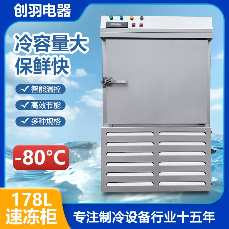 直销大排档 烧烤档 鸡中翅 鸡腿 生蚝速冻柜设备 包子馒头速冻箱