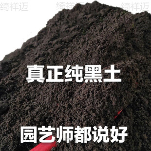 �I�B���B��ͨ�àI�B���̨�N�������������I�B��ͨ���ͽ�