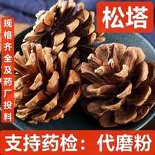 松塔 中药材  松球 松果 椁树核桃 蛇皮松果 白松果 支持药检