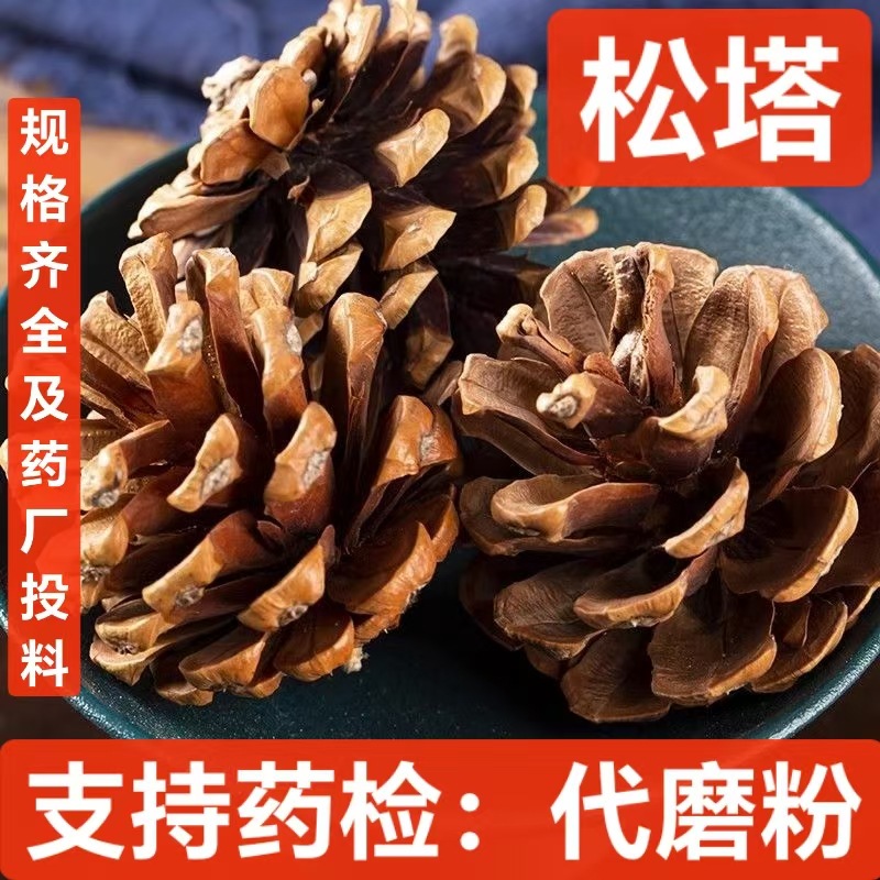 松塔 中药材  松球 松果 椁树核桃 蛇皮松果 白松果 支持药检