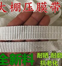 大棚压边条绷带大鹏压膜绳固膜绳子压棚带固膜扁带拉线防风绑托幕