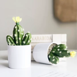 仿真绿植;仿真花;仿真果蔬