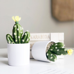 �����Ʒ���Gֲ�ɐ��bٻ�����Gֲ��c�����~�Ӵ����