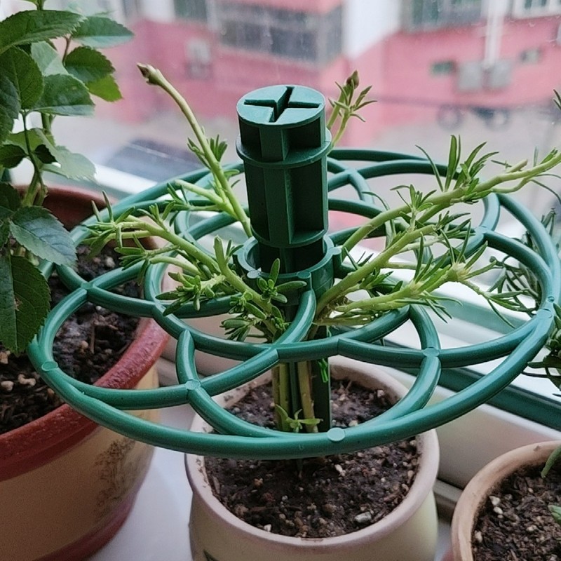 太阳花造型支架支撑杆花架子棒棒糖老桩花支架爬藤架造型花架托架|undefined