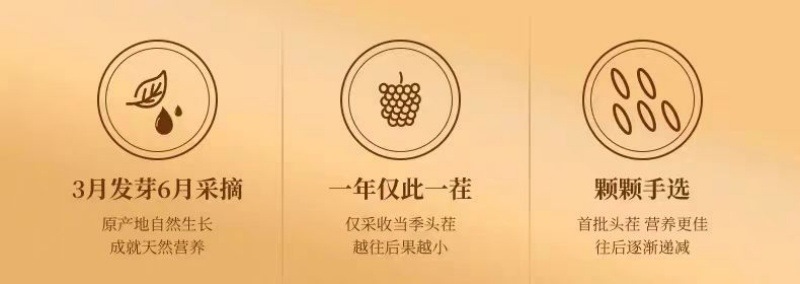 Mulberry Fruit Dried (Morus alba) — Xinjiang Sang Shen, No-Wash Ready-to-Eat Herbal Tea key features