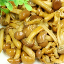 【古甜】水煮香菇 蘑菇片 草菇 金针菇 滑子菇 金钱菇 灰树花