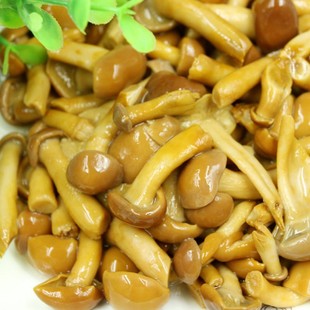 ������ˮ���㹽 Ģ��Ƭ �ݹ� ��ᘹ� ���ӹ� ���X�� �Ҙ仨