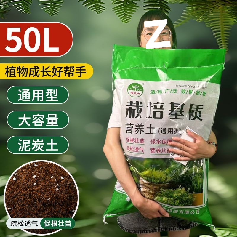 发财树营养液黄叶烂根黑斑专用肥强力生根液家用盆栽水培植物肥料