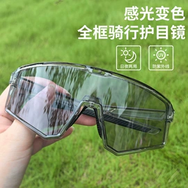 骑行眼镜;滑雪镜;运动眼镜