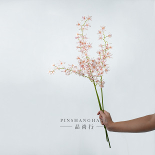 ���������m�����f���m�����m�ѻ���Y��픻��Ҿ��b�c�S�����l