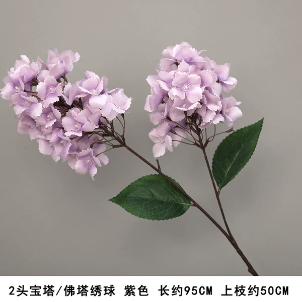 2 Pagoda-Pagoda hydrangea purple