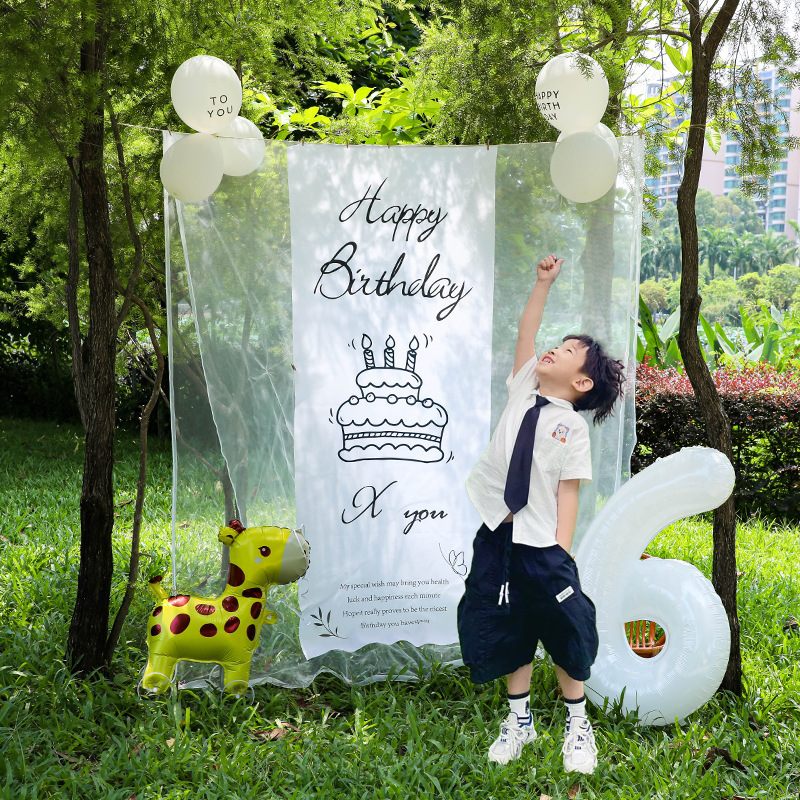 小红薯同款户外生日场景氛围布置装饰网纱背景挂布6周岁男孩拍照|undefined