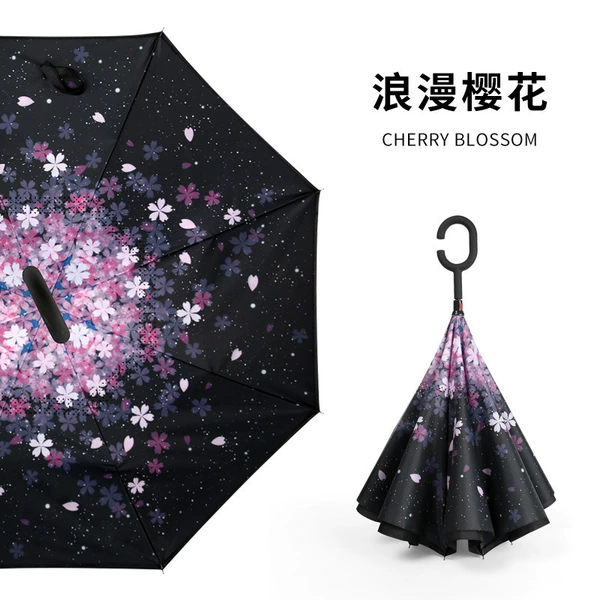 ㊢Romantic Sakura