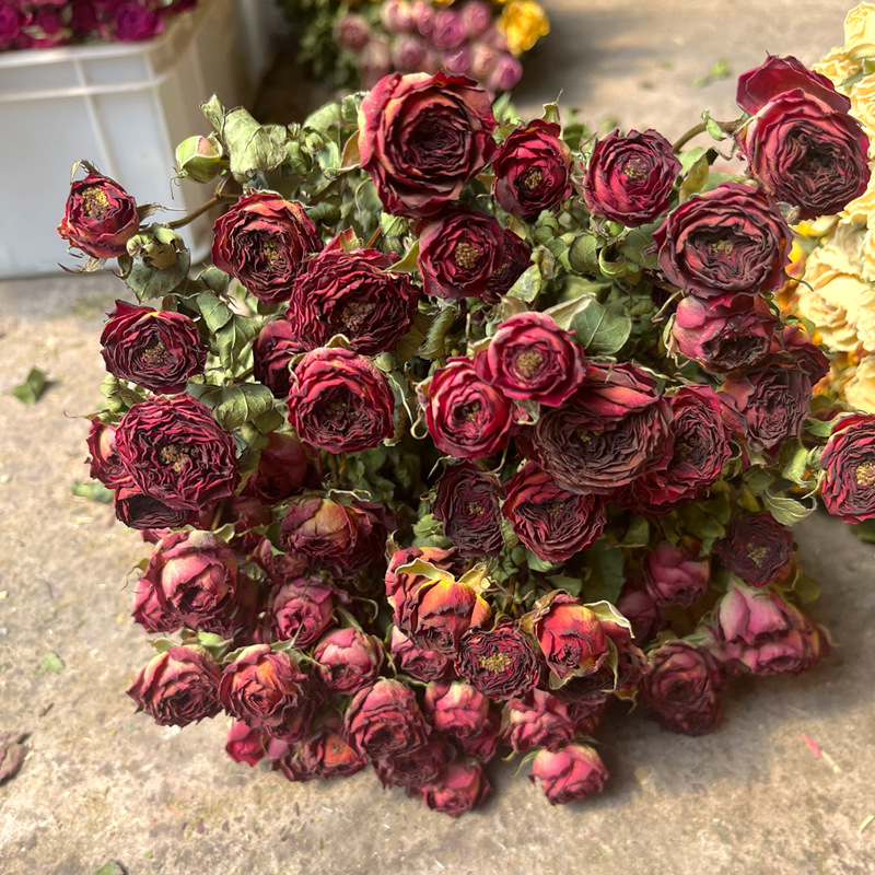 초콜릿 버블 + 35개 이상의 장미