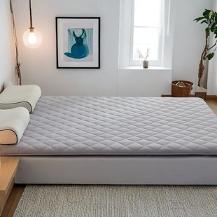 Thickened Mattress Soft Cushion Home Mattress 1.5m Single Student Factory Dormitory Sponge Mat Non-slip Foldable