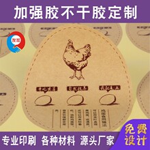 �����z�N��logo���S�a�˺�����Npvc͸�����N��ͲС�V��C���N��