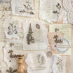 İīPET��ī�N���� ���V���� �͹Űٴ��ز����~��Xdiy�b�ƴ�N��