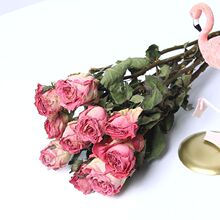 ���^õ��ɻ��Nޱ��������С���¸ɻ���ins���W�L�Ҿ��b�DIY���z