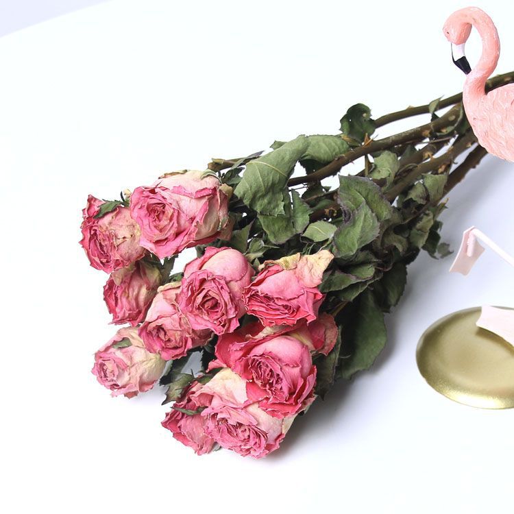多头玫瑰干花蔷薇浪漫泡泡小清新干花束ins北欧风家居装饰DIY滴胶