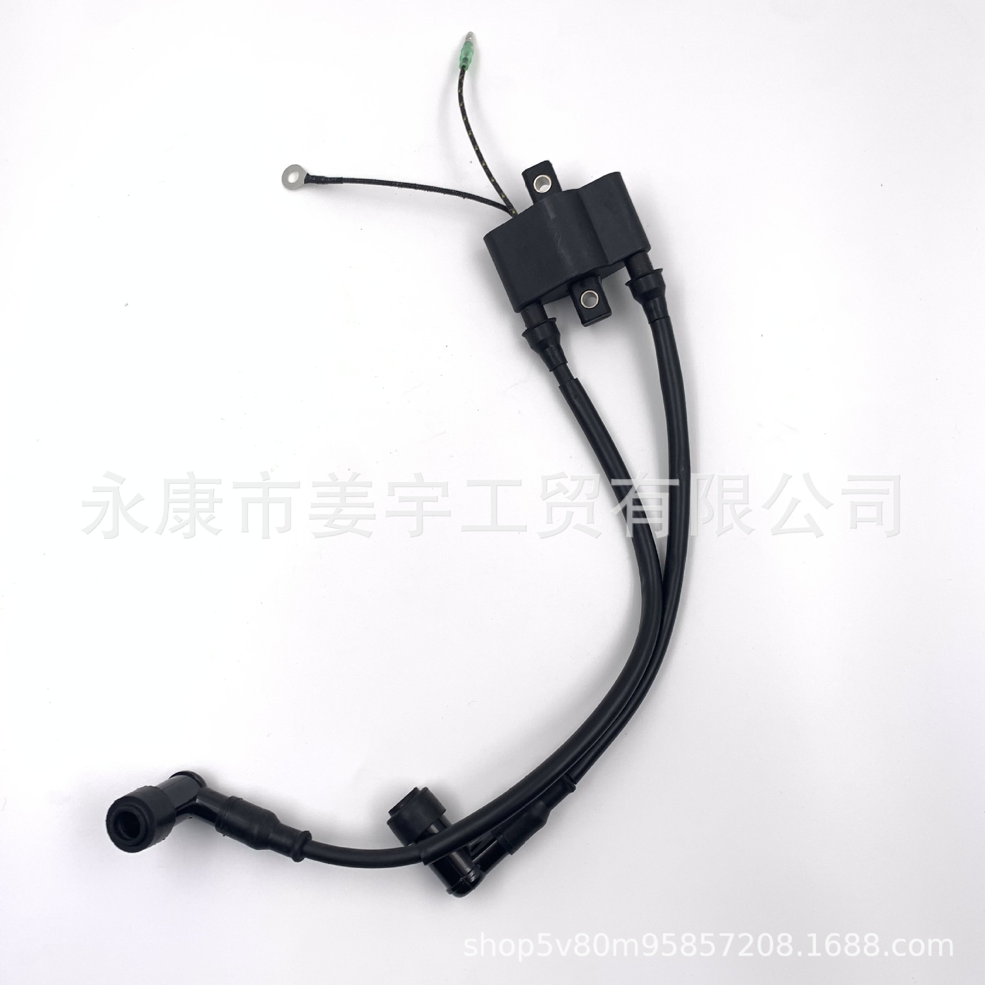 东发TOHATSU二冲程T18马力T30马力船外机挂机发动机配件高压包