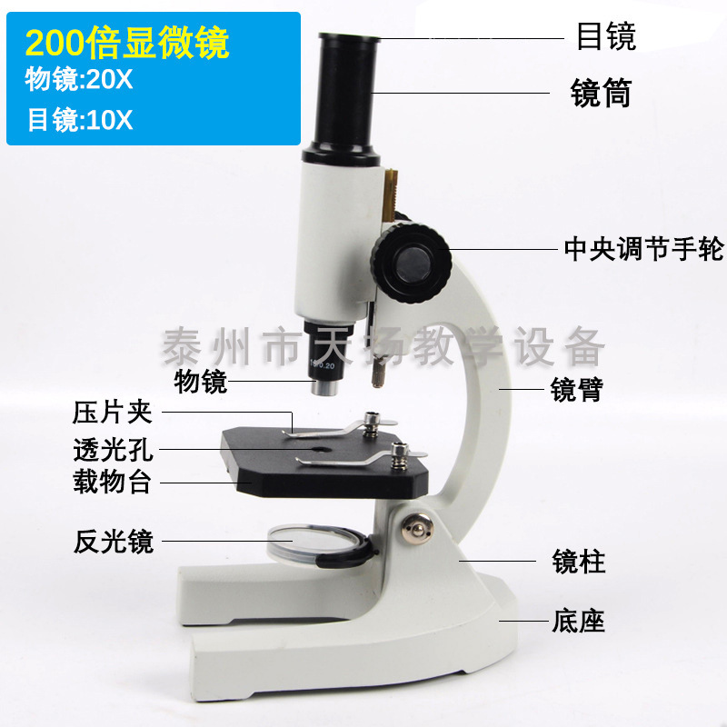 生物显微镜 学生用单目直筒 XSP-200X 200倍 教学仪器厂家直销