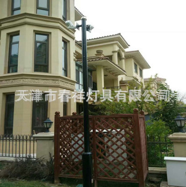 天津厂家生产路灯杆户外监控杆单臂杆3米单火监控立杆摄像监控杆