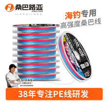 ɣ�ͺ�ɣpe��·����������13���߶˳�혻���ĥ100���B�P����~��