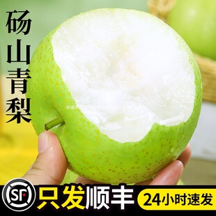 �������rˮ�����ڴXɽ����10�ﮔ����S���]��������ʹ���ѩ��