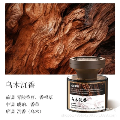 Car Aromatherapy for Men, Car Perfume Aromatherapy - shan-mingebony-agarwood