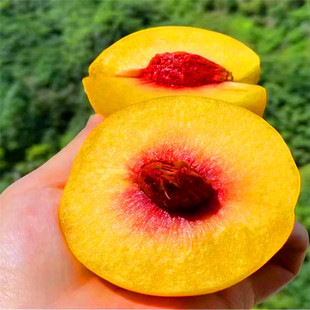 �޽��Ҙ��� ��Ʒ�����S�Ҙ��� ���S������ ���������Ϸ�������ֲ