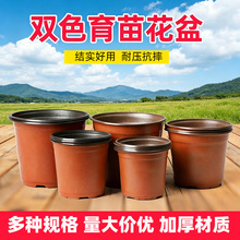 �pɫ�� �Ӻ��������������������� �������ϻ������绨���pɫ����