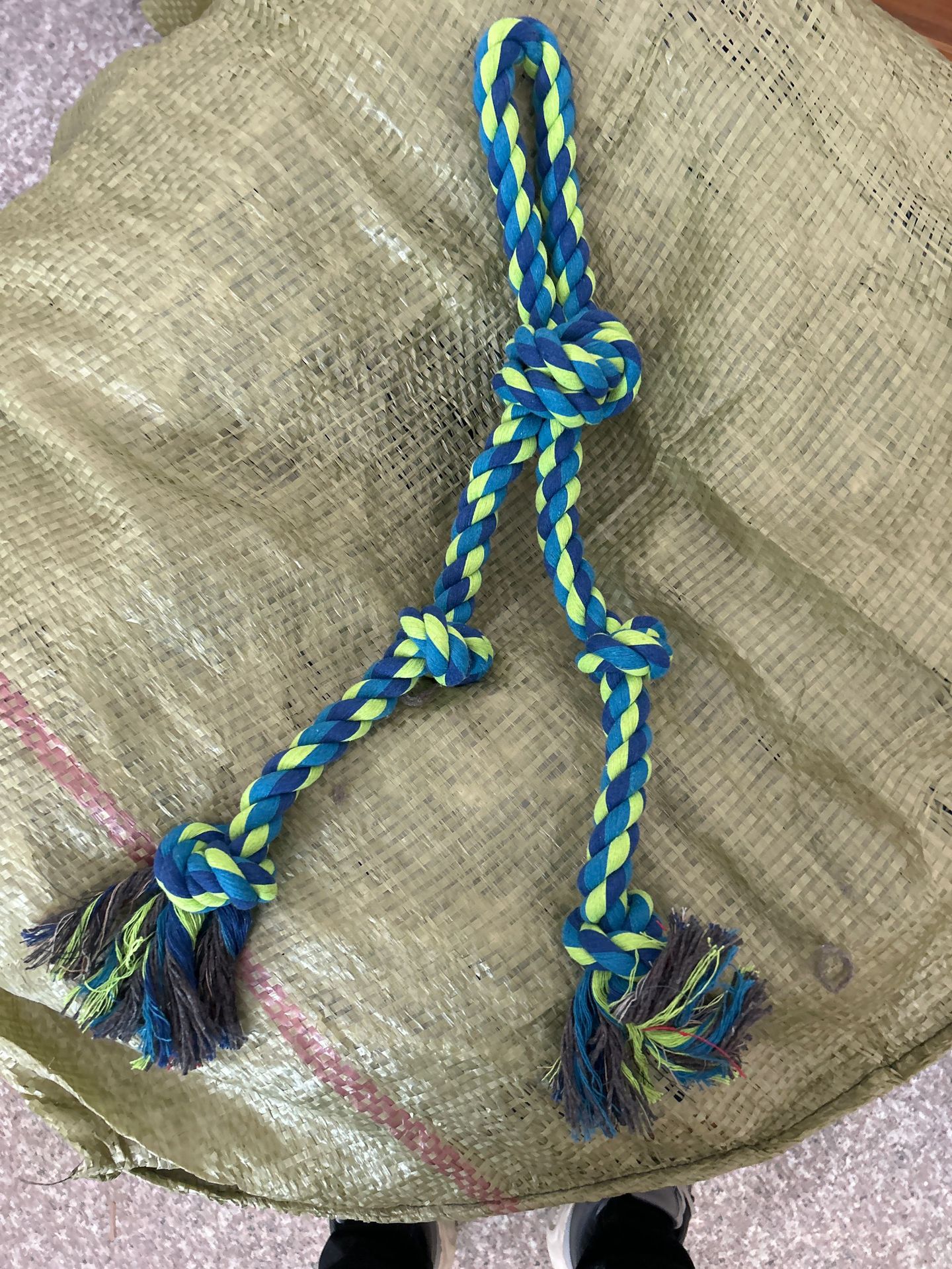 9f2d83585984de583f8af66d25b1dd