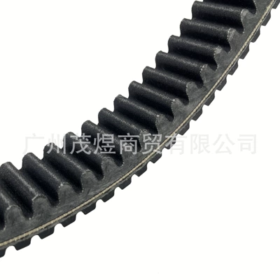 Belt Cfx10 2024 Cforce