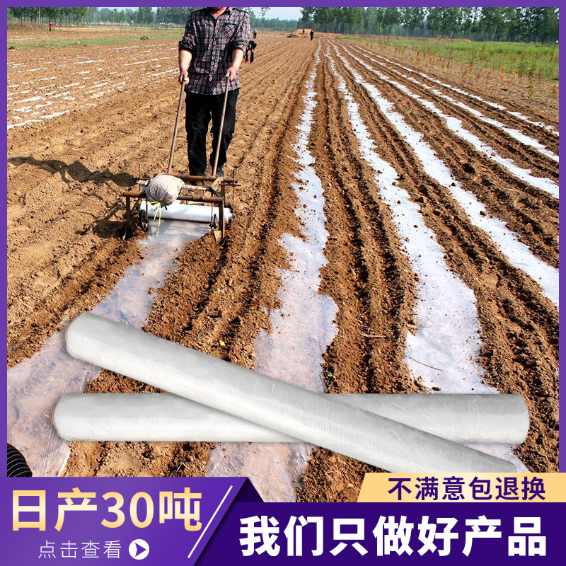 Film wholesale black and white transparent Insulation Film transparent New material Film Agriculture greenhouse watermelon Vegetables Degradation Plastic sheeting