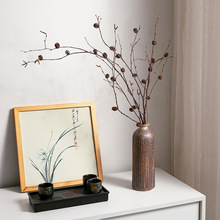 天然干枝花树枝树干客厅装饰摆设民宿插花枯木枝造景桦树枝松果