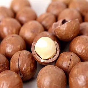 �����Ĺ��������ވԹ���޽Ӱ��ވԹ�������һ̖�Ꭷ���玧��