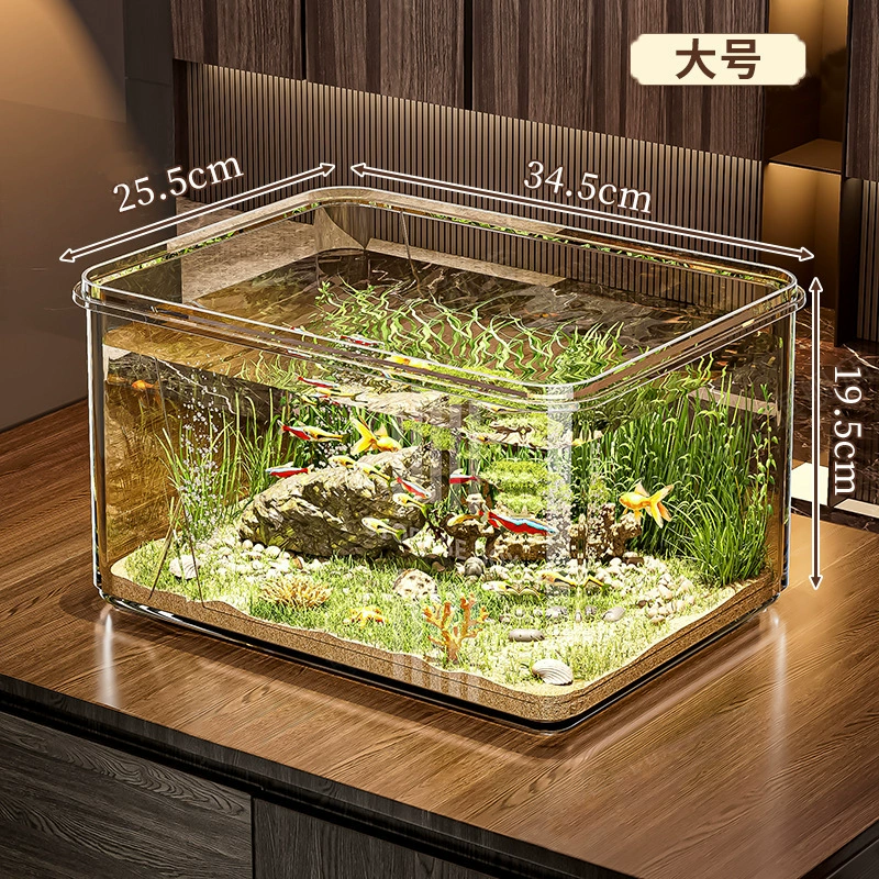 Transparent small square acrylic aquarium for office