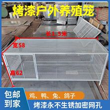 鸡笼鸽笼兔笼家禽笼防鼠防蛇防黄鼠狼家用养殖烤漆永不生锈冲孔网