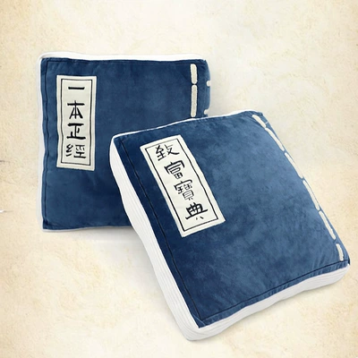 Waist support Guide Book Pillow Office
