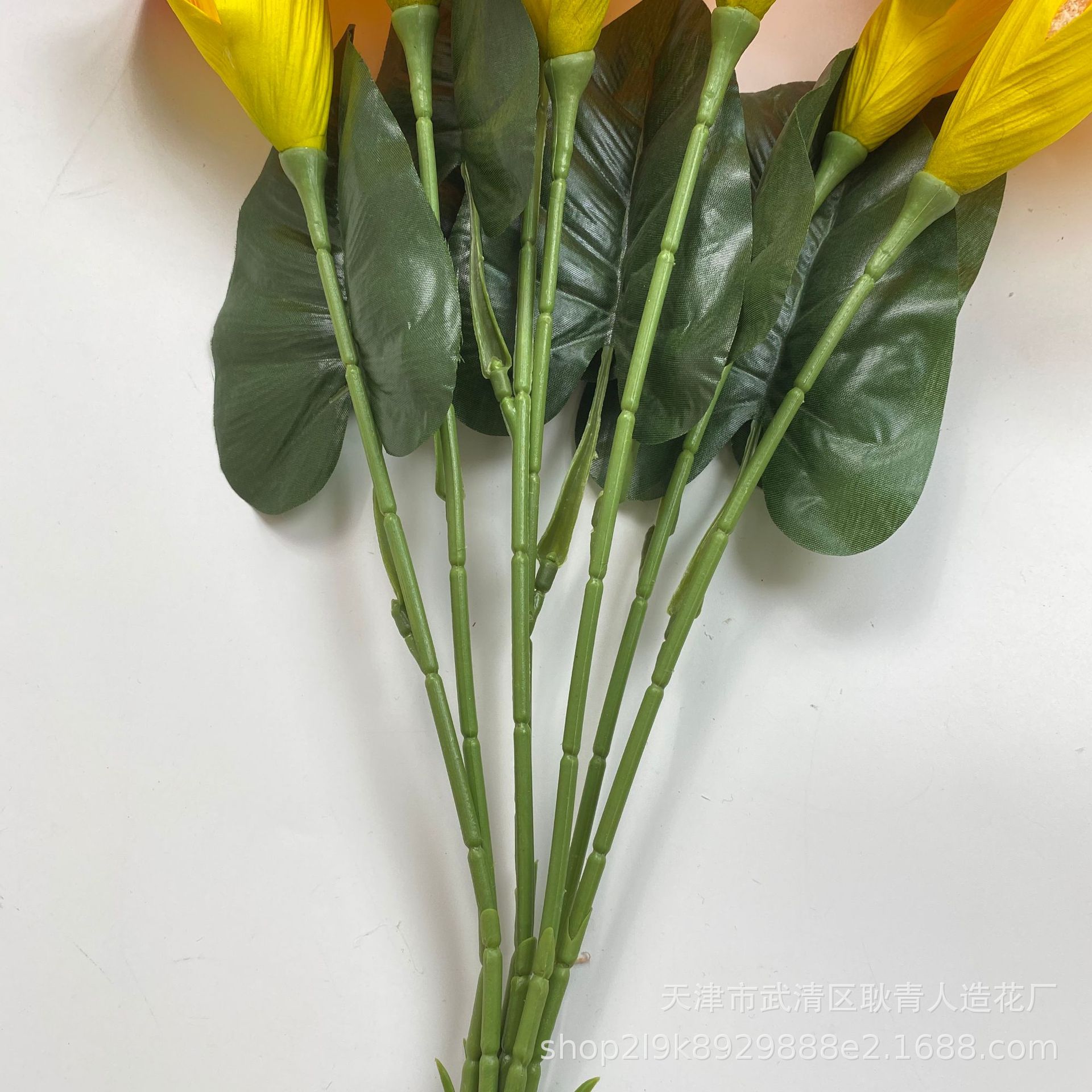 f0eedbbd46d5f224a63b3fc2abcac7