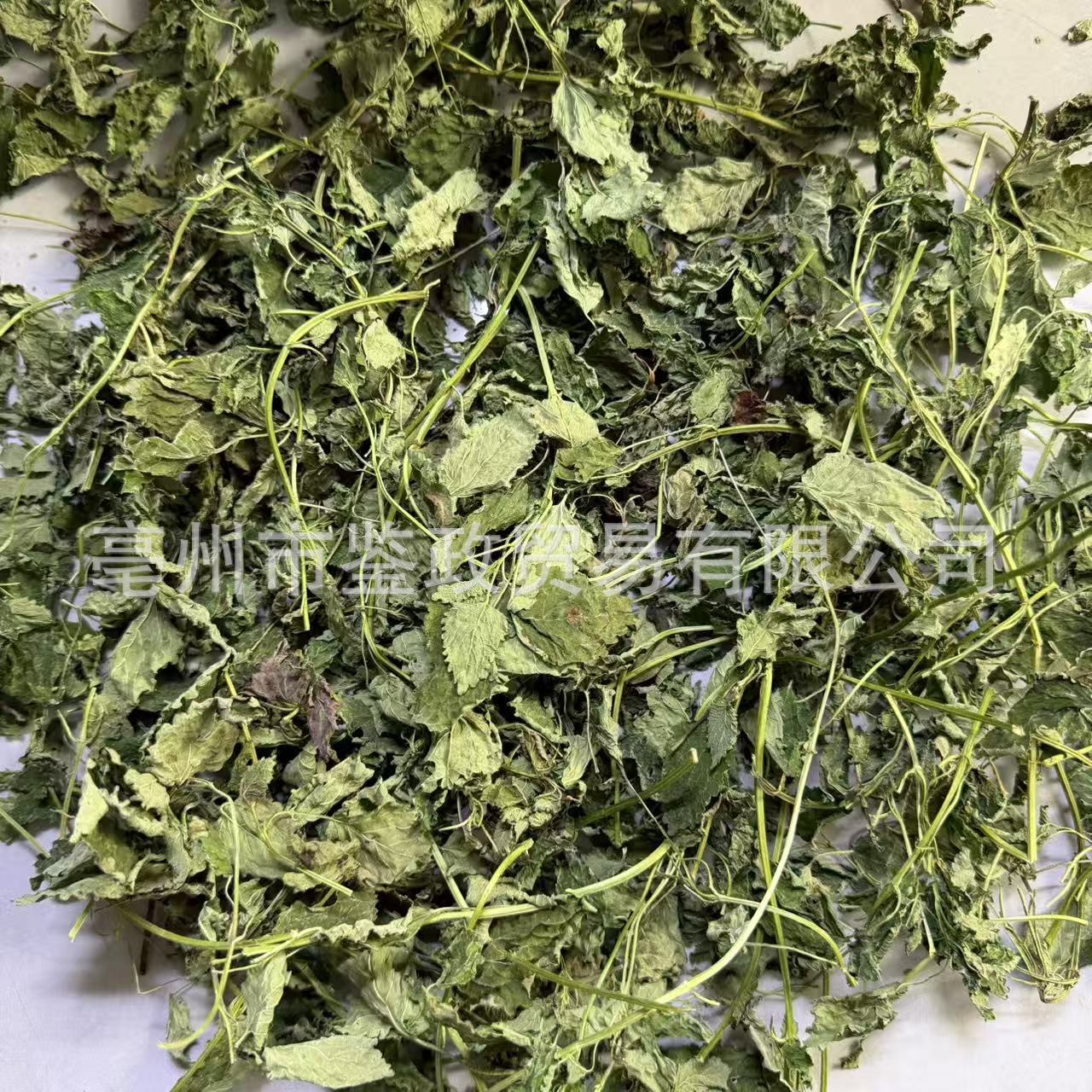 Lemon Balm Dried Herb 500g Bag Xiang Feng Cao Herbal Tea Ingredient specifications